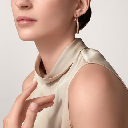 [Luxora]JUSTE HALF DIAMOND LARGE EARRINGS